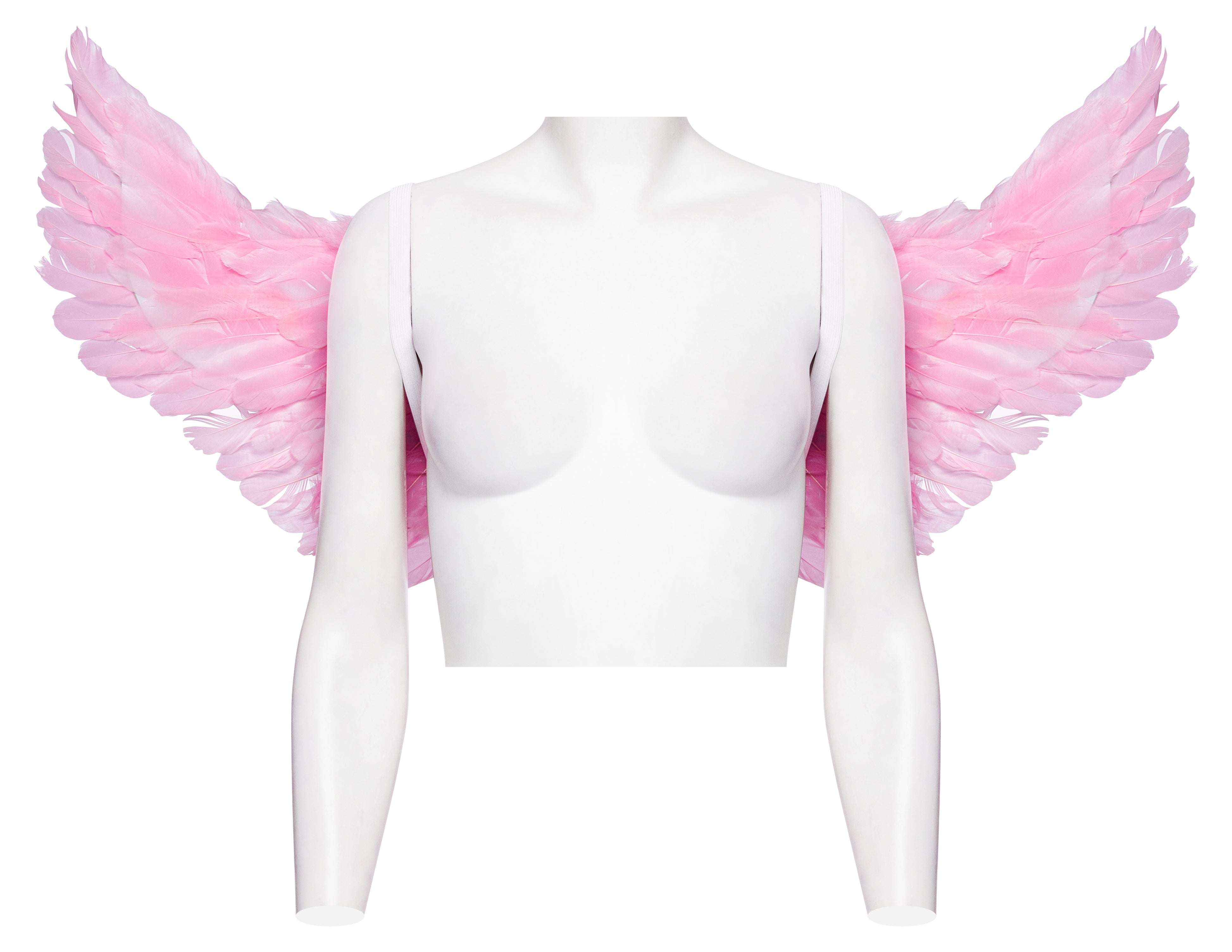 Cotton Candy Angel Wings