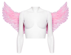 Cotton Candy Angel Wings