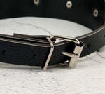 Classic O-Ring Collar