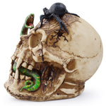 Skull of Horrors - Goth Mall