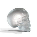Giant Skull Ice Cube - Goth Mall