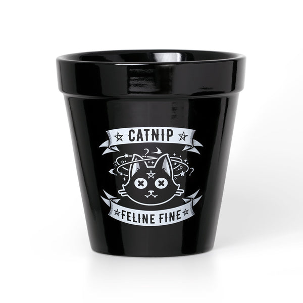 catnip plant pot Alchemy England - Catnip