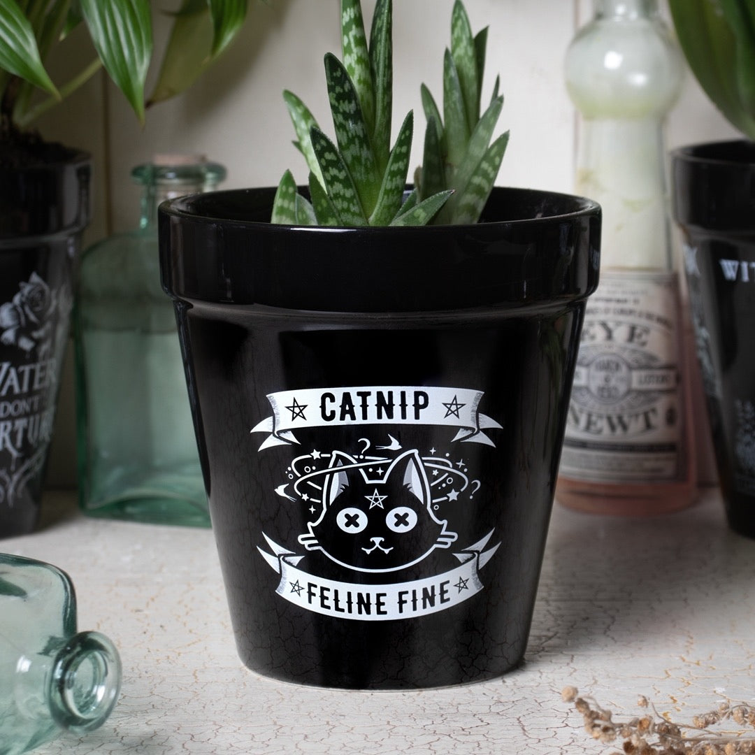 goth plant pot Alchemy England - Catnip