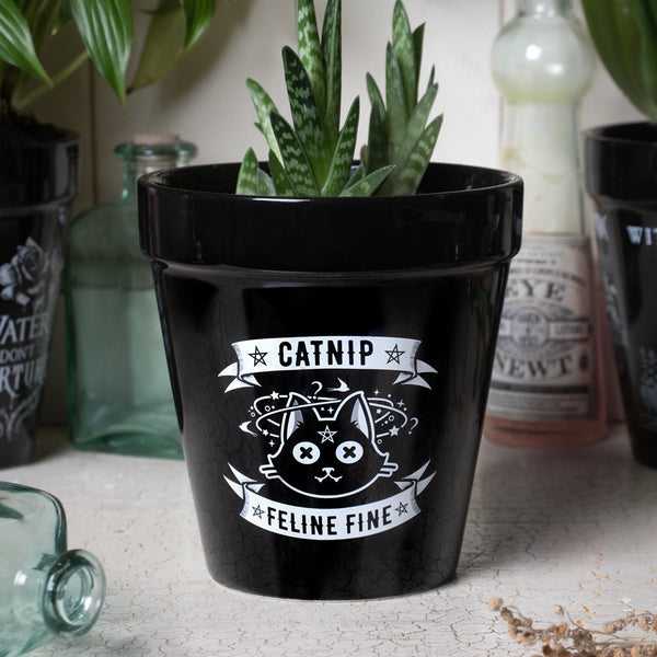 anti cat plant pot Alchemy England - Catnip