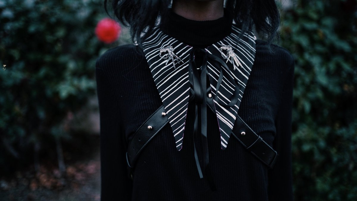 The Nightmare Reversible Collar - Goth Mall